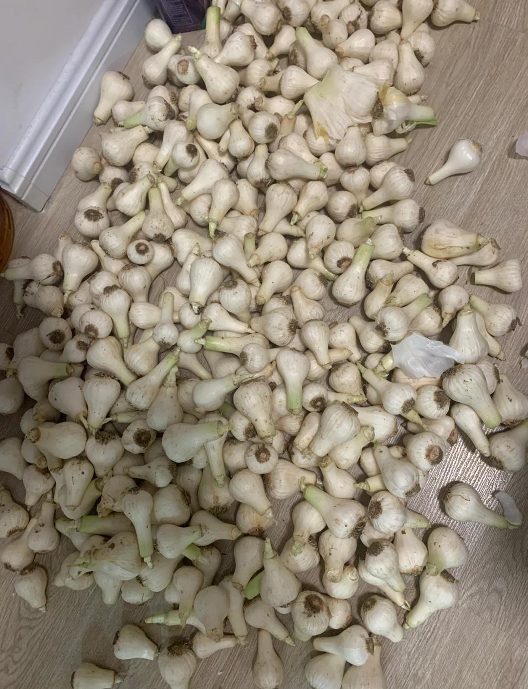 咸蒜的腌制方法大全