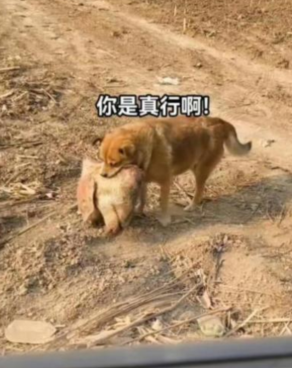 2025年9月 第12页