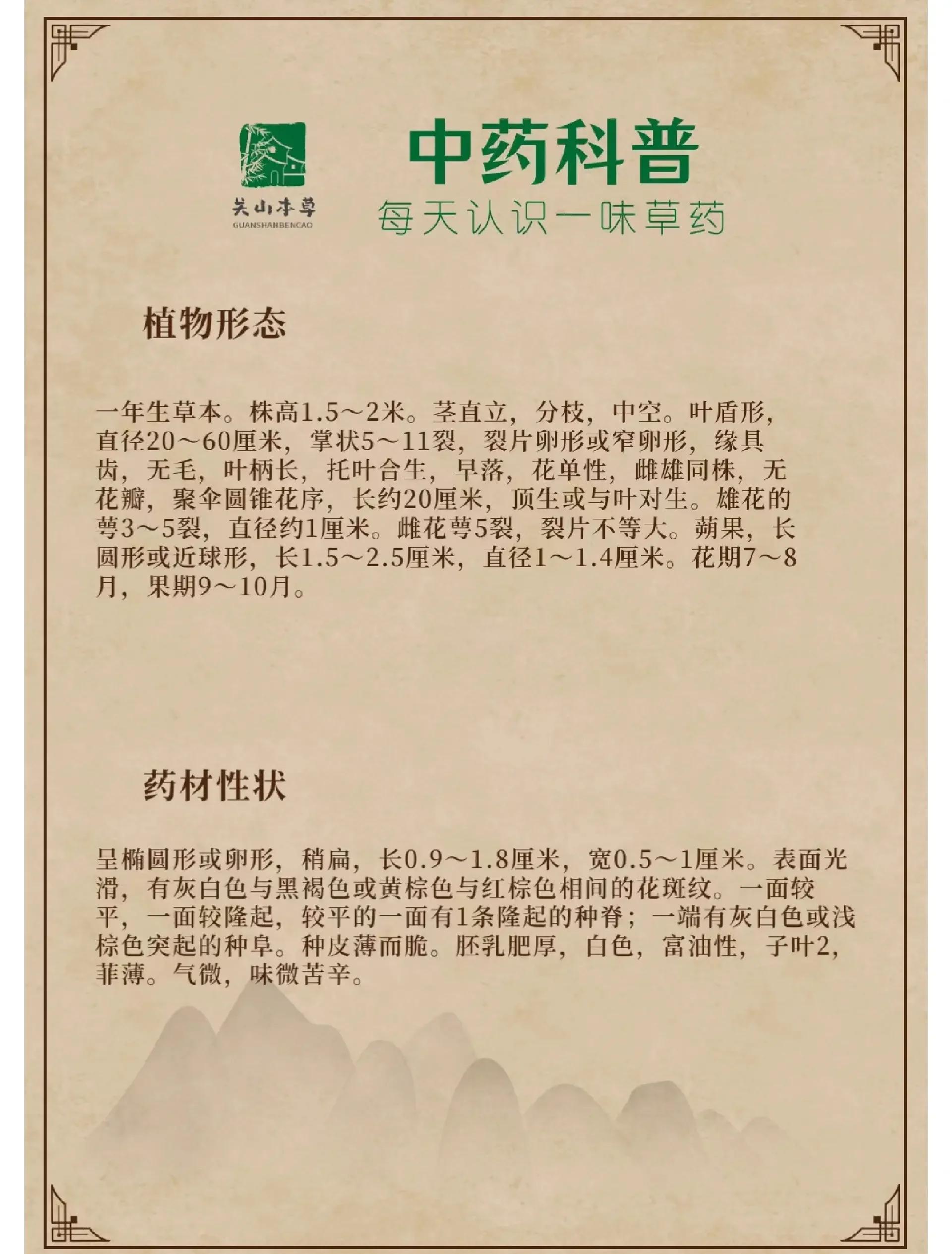 蓖麻子的功效与作用