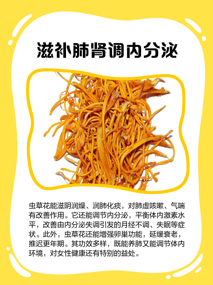 虫草的功效与作用及禁忌