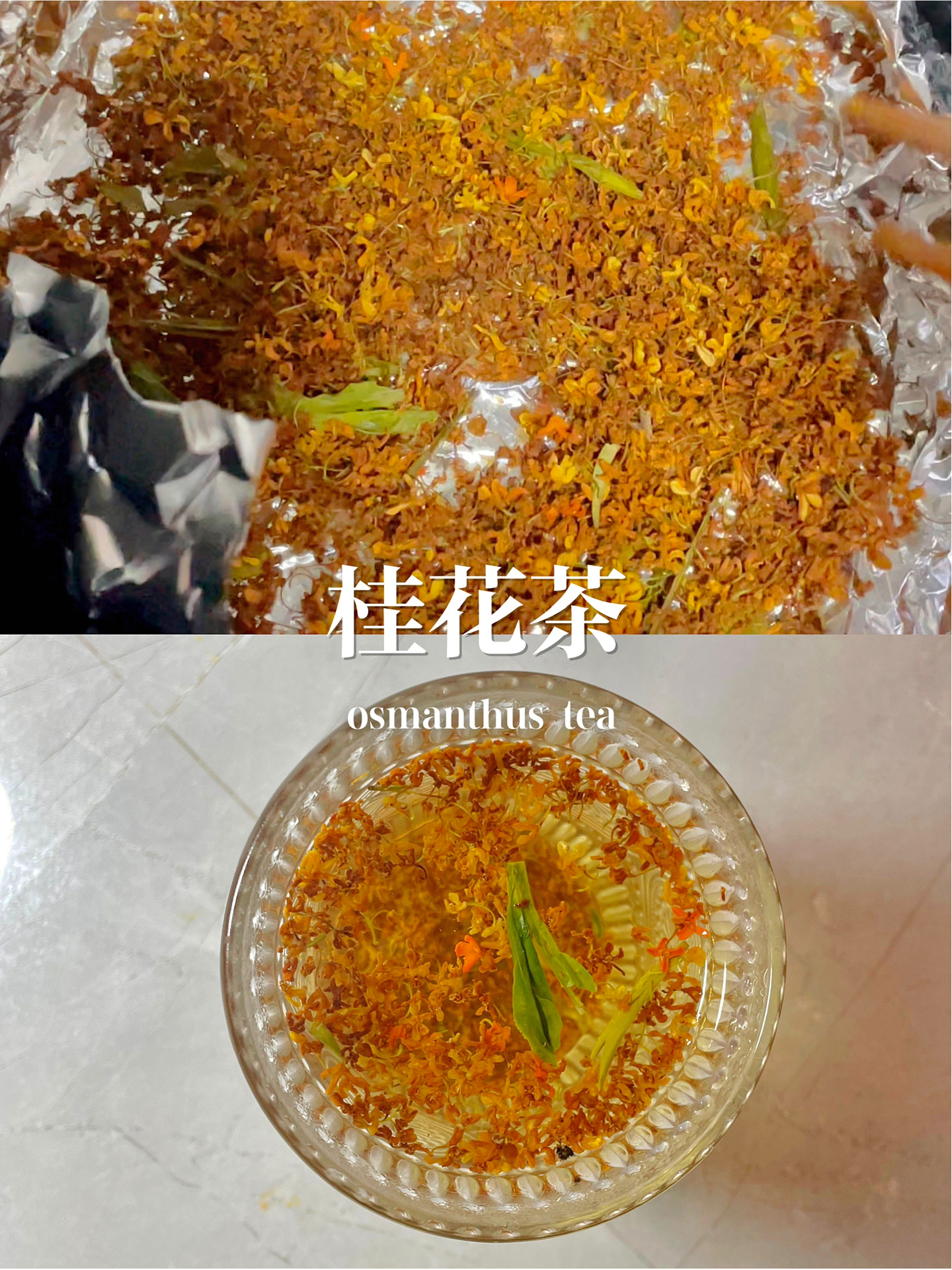 桂花怎么制作桂花茶