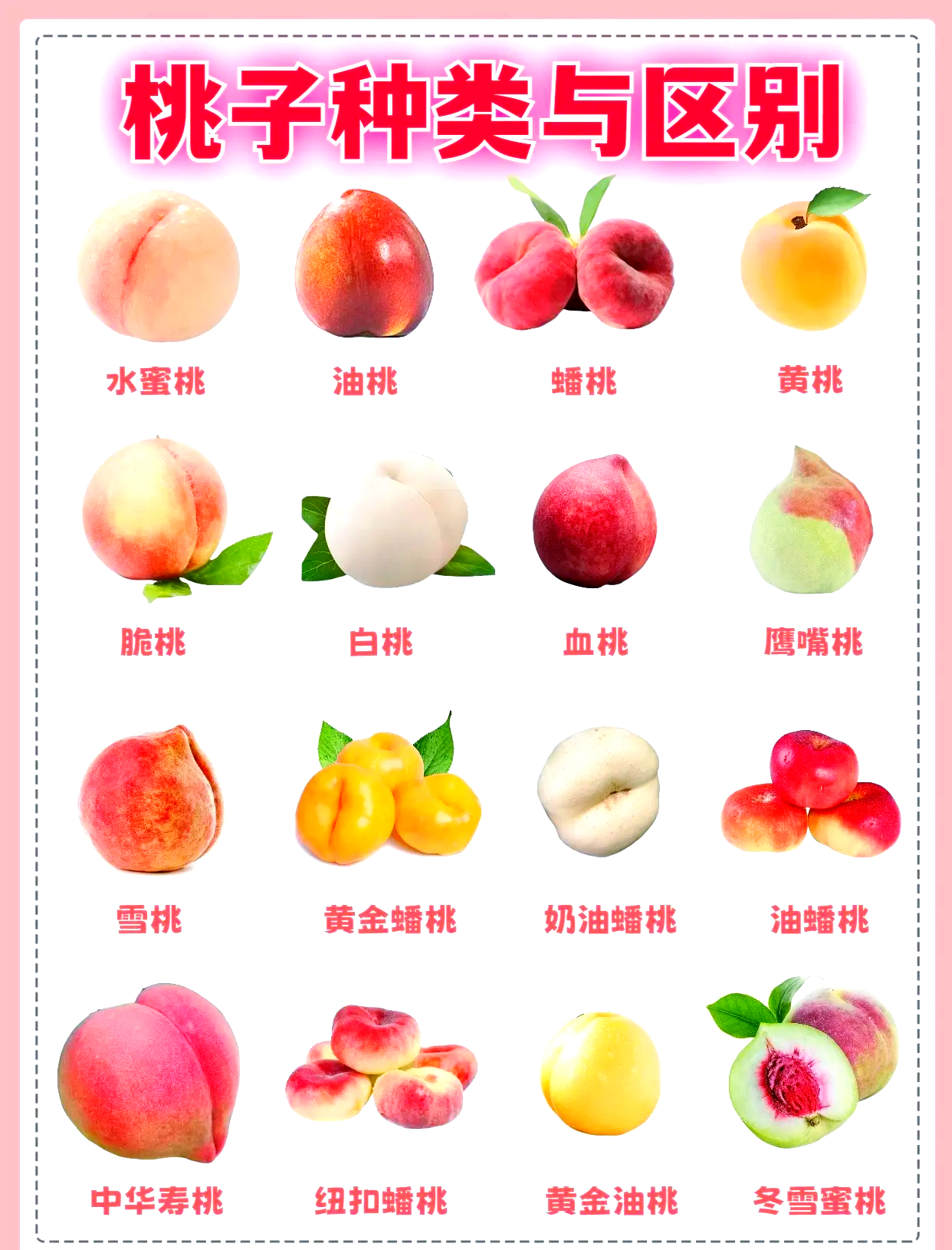 水蜜桃不能和什么水果一起吃