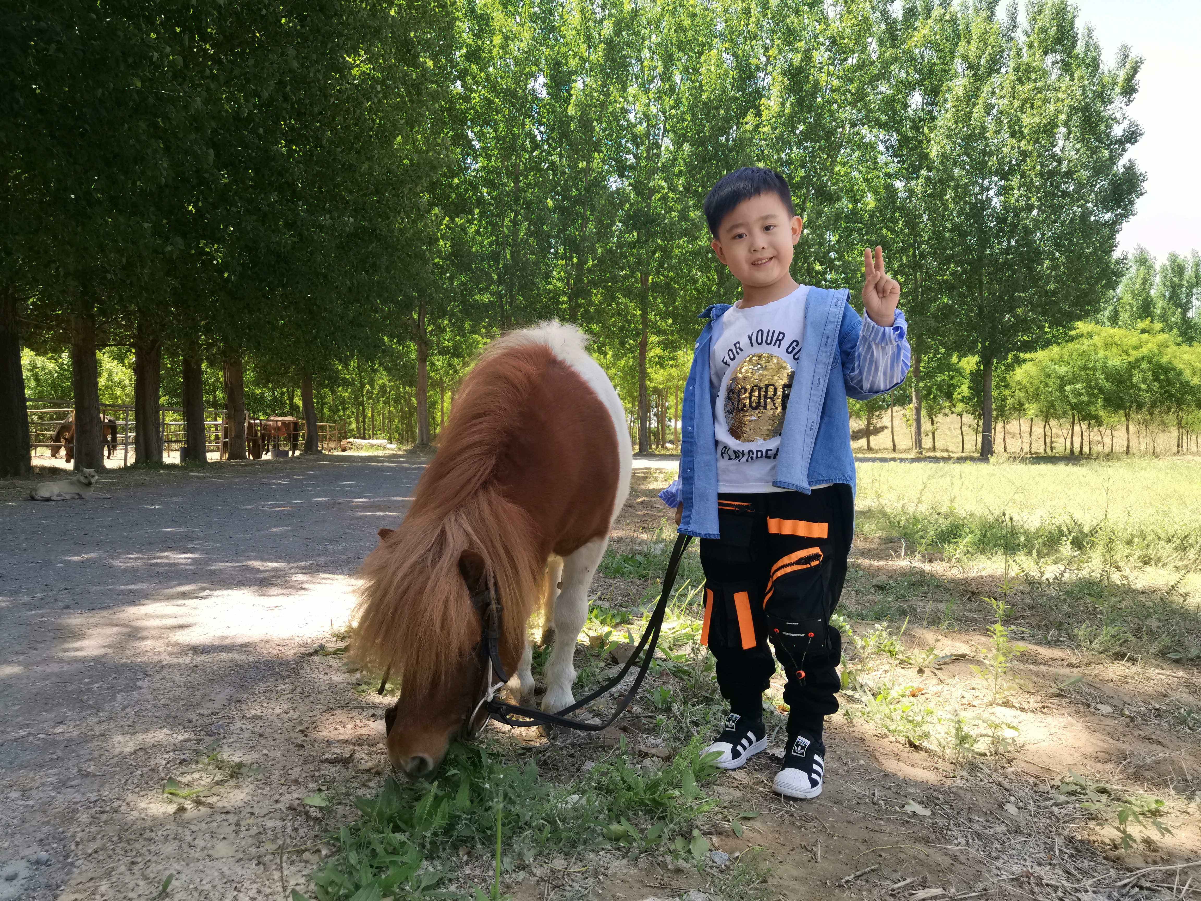 骐骥读音骐骥读音和解释