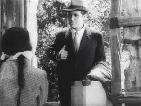 至死不懈怎么理解