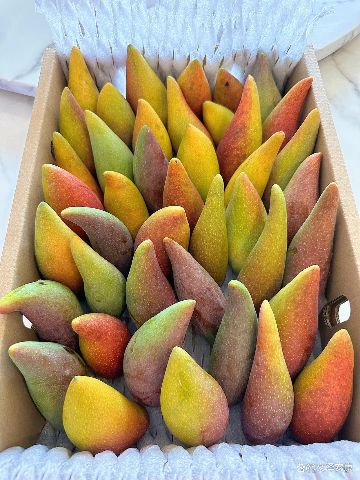 金西梅是什么水果