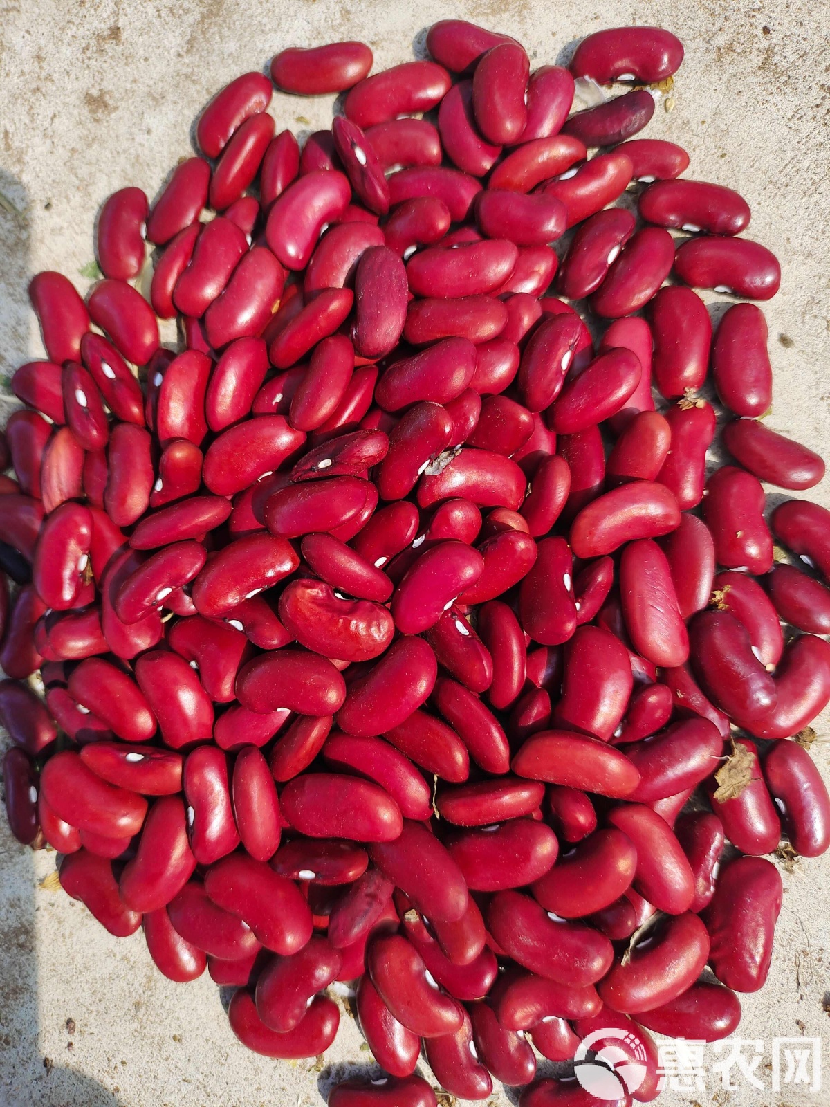 2025年10月3日 第8页