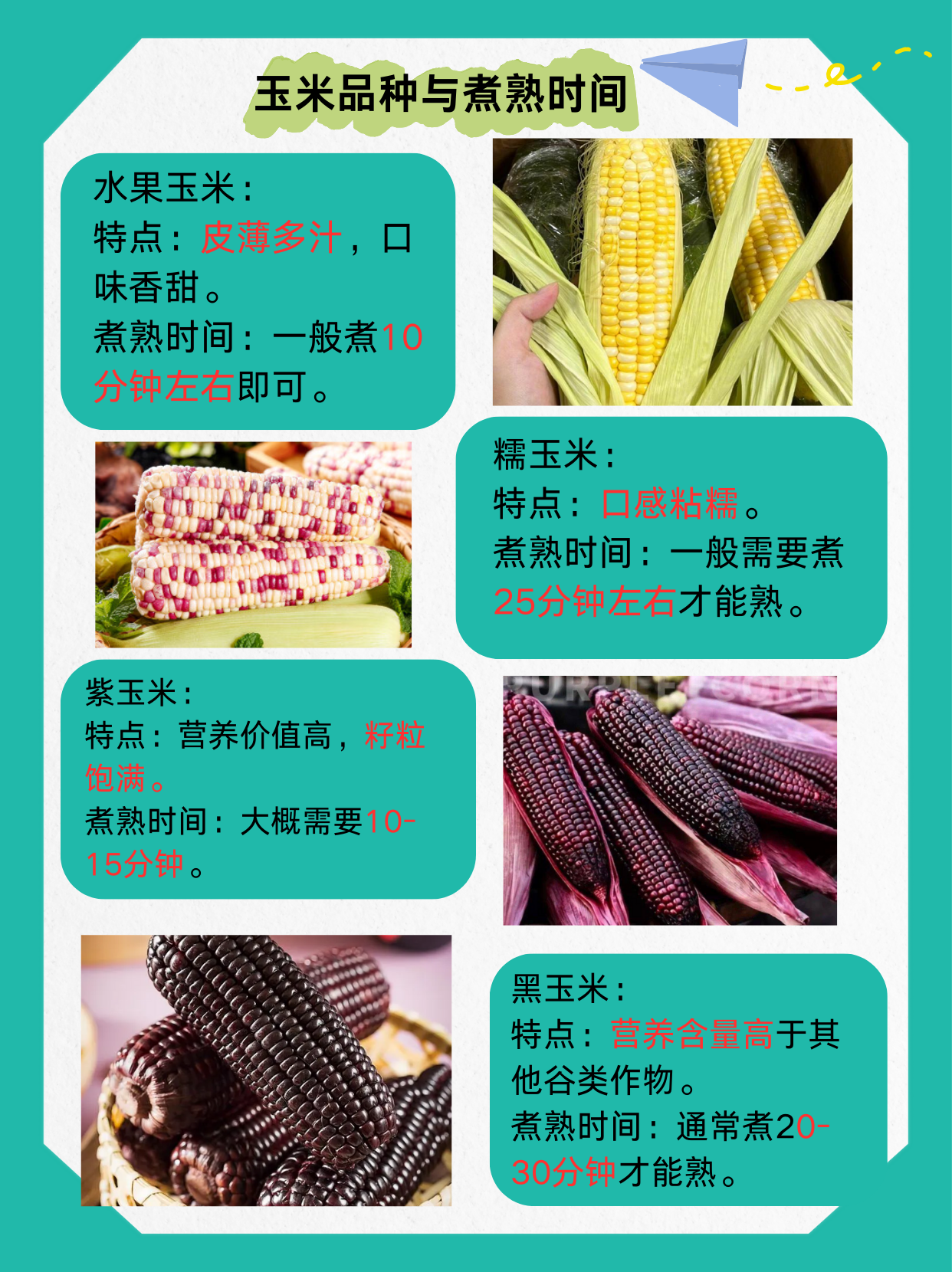 玉米煮多长时间才熟呢