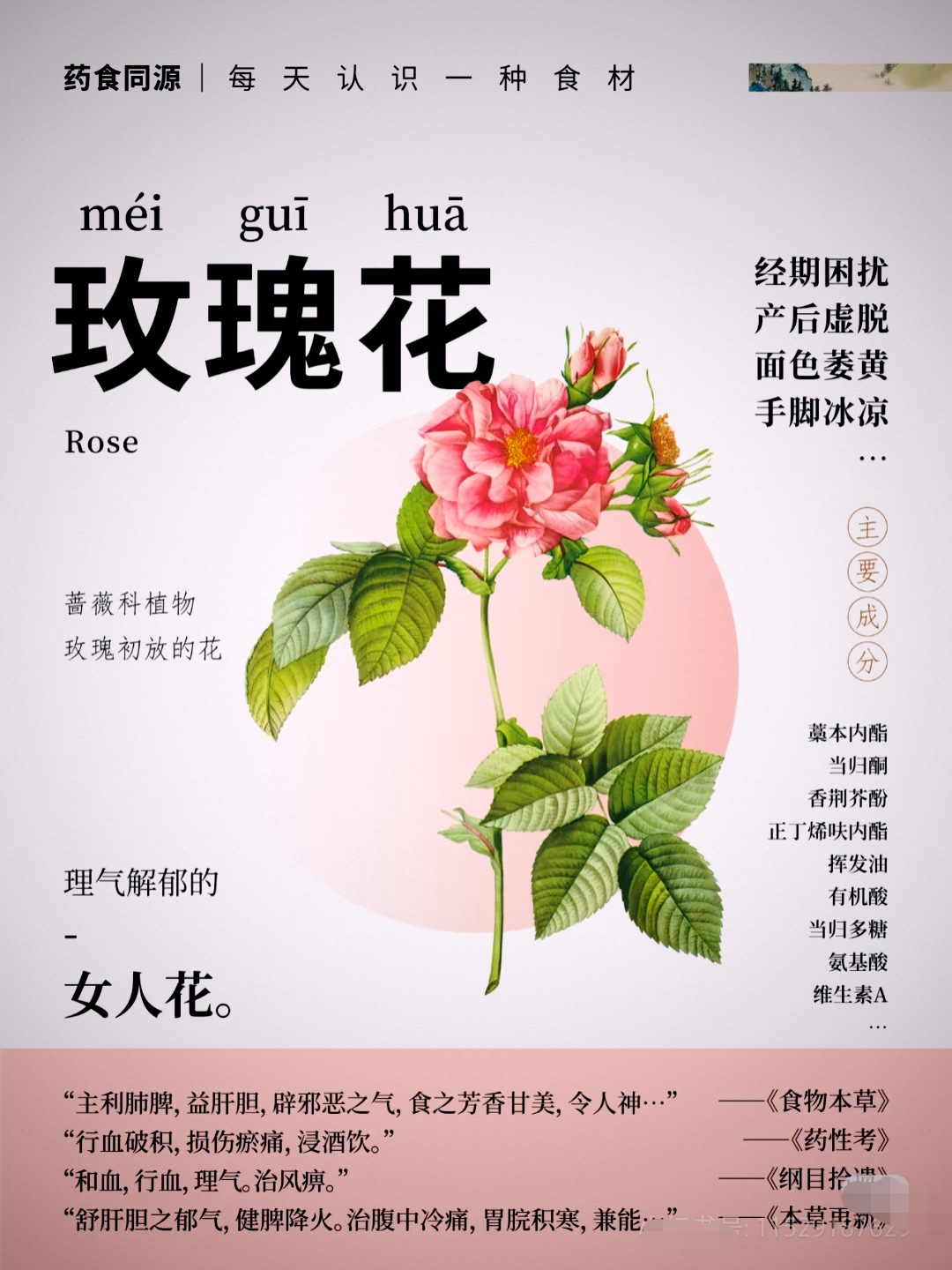 2025年10月4日 第17页