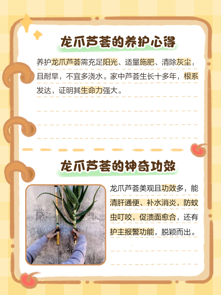 新鲜芦荟吃法的家常做法