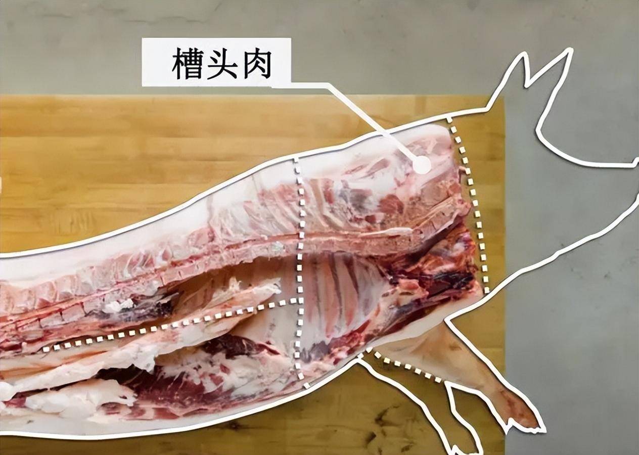 鸡冠油实在猪身上哪个部位的呢