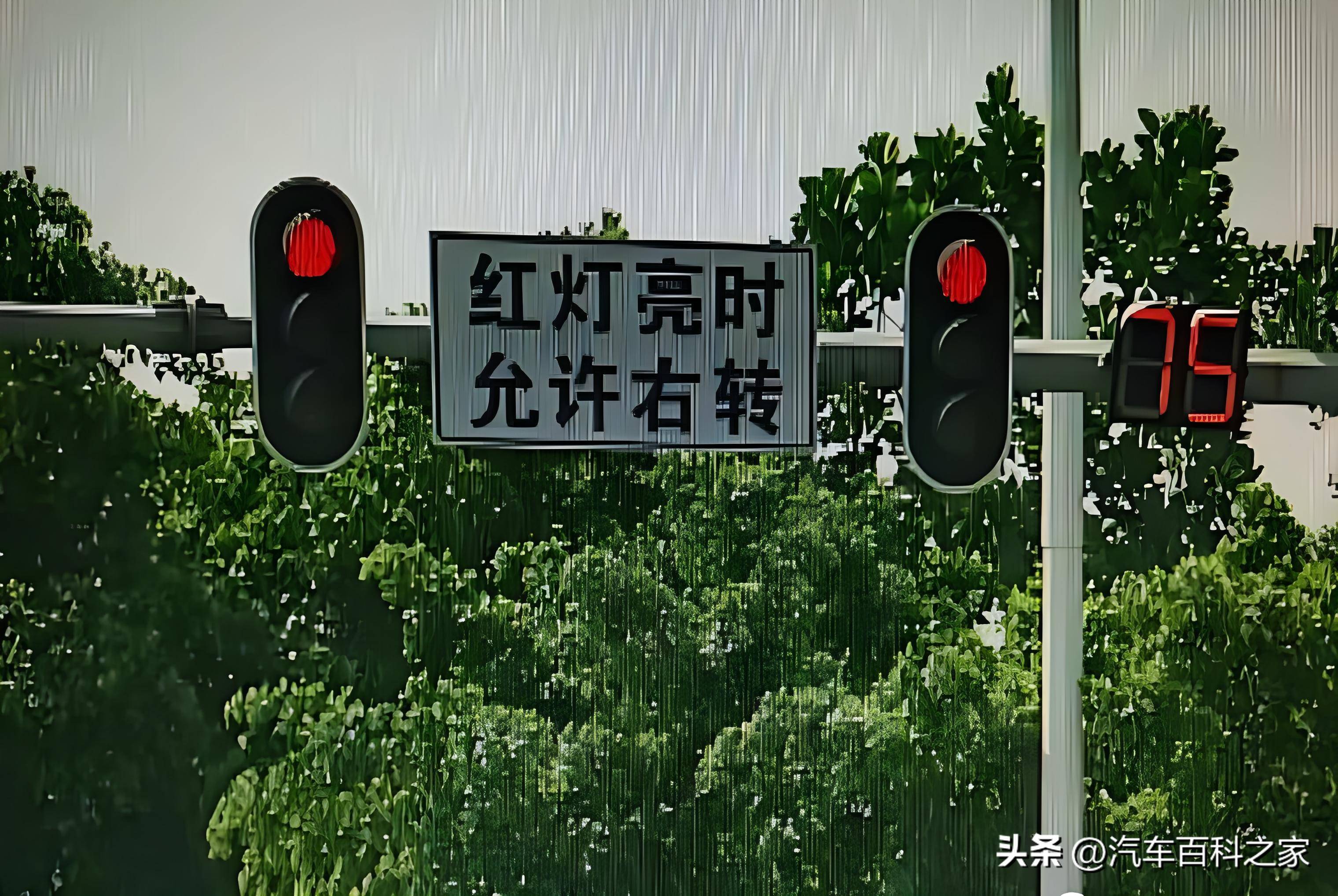 直行线和右转弯红灯能右转吗