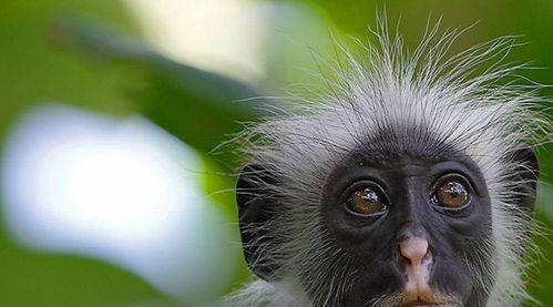 2025年10月21日 第8页