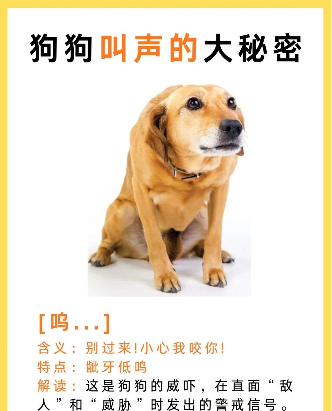 幼犬晚上一直叫如何解决