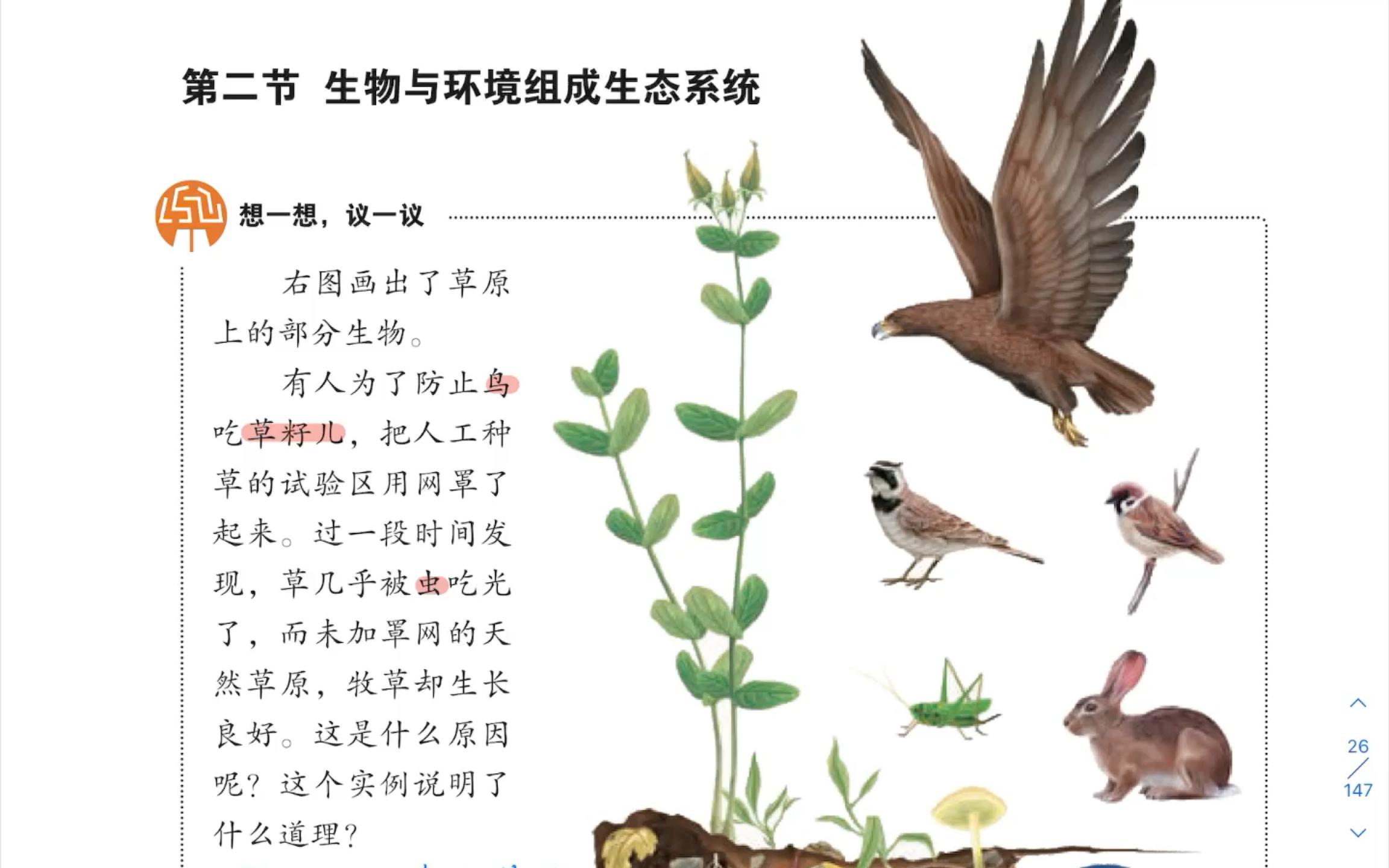 生态系统的功能包括哪些