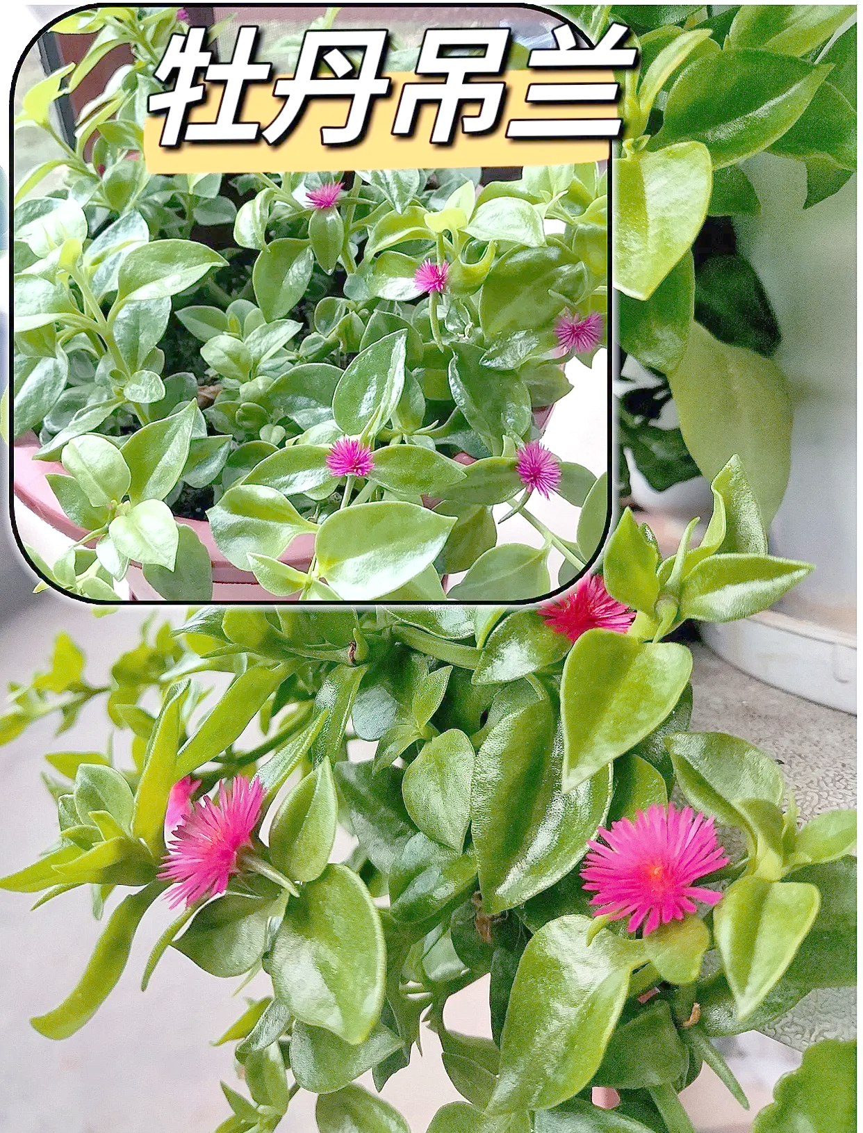 百度文库 第14页