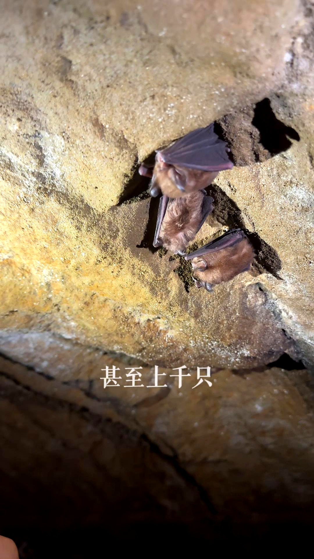 2025年10月30日 第7页