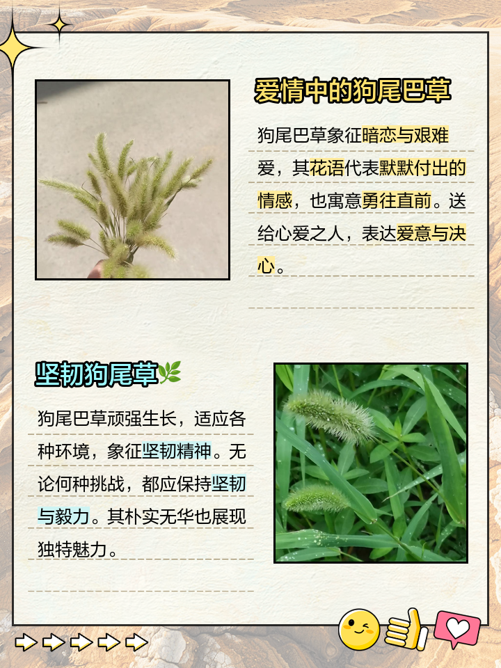 食品伙伴网 第12页