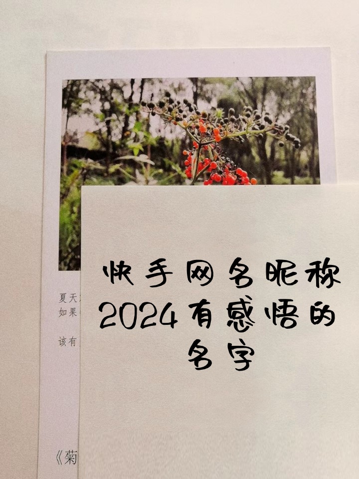 2025年11月2日 第4页